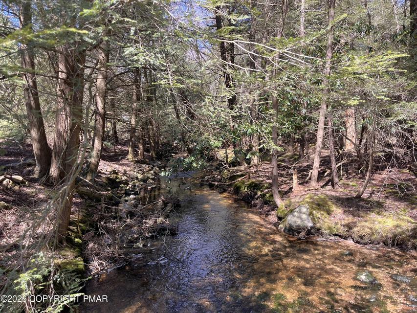 Creek